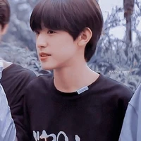 Trương Trạch Vũ
