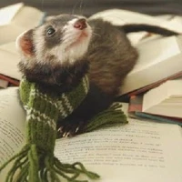học viên Slytherin