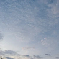 mỹ nhân xinh đẹp:>
