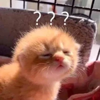 Tắc giả