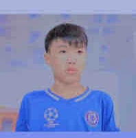 Phạm Đình Hoà 