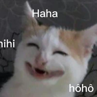 Đa nhân vật nữ