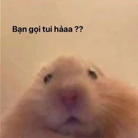 tác giả mặnk mòik🤡