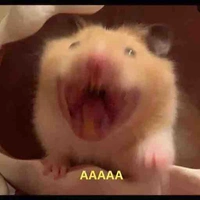 tg iu các cou