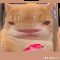 Nhân viên phục vụ