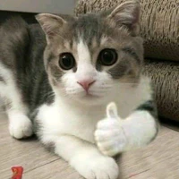 đóng nhiều vai nha mí pồ