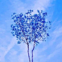 Quần chúng éo liên quan