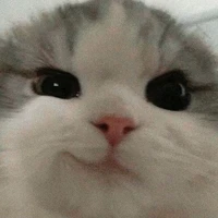 cân mọi nhân vật