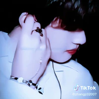 Trương Cực (anh)