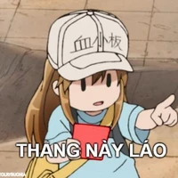 Yil