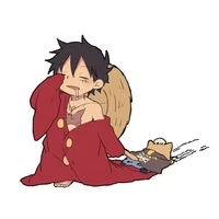 Monkey •D• Luffy