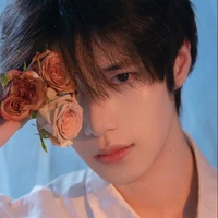 Vương Song Tử _Gemdepzaii1506