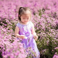 Gia Cát Vân Tri - chị 4 🐱