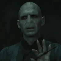 Lord Voldemort - Tom Marvolo Riddle