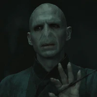 Lord Voldemort - Tom Marvolo Riddle