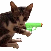 Cả nhóm=))))