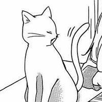 Neko