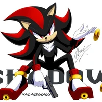 Shadow The Hedgehog