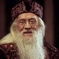 Albus Dumbledore 
