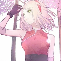 Haruno Sakura