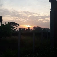 Tác giả