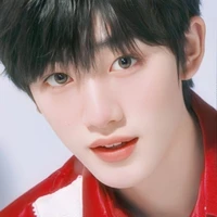 Đinh Trình Hâm