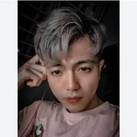 mr . vịt
