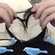 fishlor( T/G)