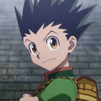 Gon Freecss