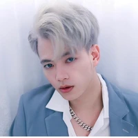 Mister Vịt