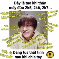 NV quần đùi