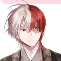 Todoroki Shouto/Roki/Kara