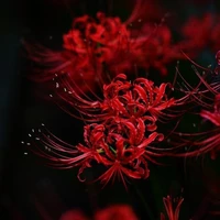 T/g ăn hại nhất quả đất