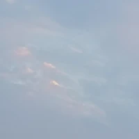 Heli