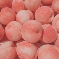 nhân vật quần chúng