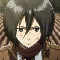 Mikasa