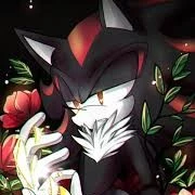 Shadow