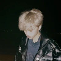 Nghiêm Hạo Tường