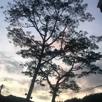 Đa nhân vật