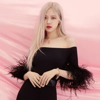 Park Chaeyoung(Cô)