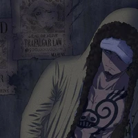 Trafalgar D. Water Law
