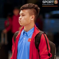 Quang hải (cánh cụt)