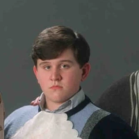 Dudley Dursley 