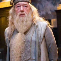 Albus Dumbledore 