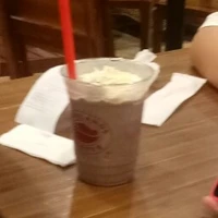 Lizie và các con báo