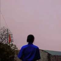 Gấu (tác giả)