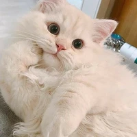 T/G mất nết