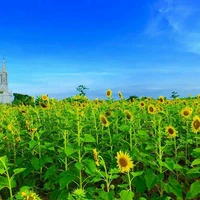Đa nhân vật