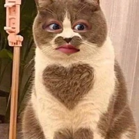 tác giả cutiii