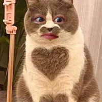 tác giả cutiii